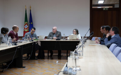 Alentejo 2030 reúne IP e CIMBAL para esclarecer financiamento do projeto ferroviário Casa Branca – Beja