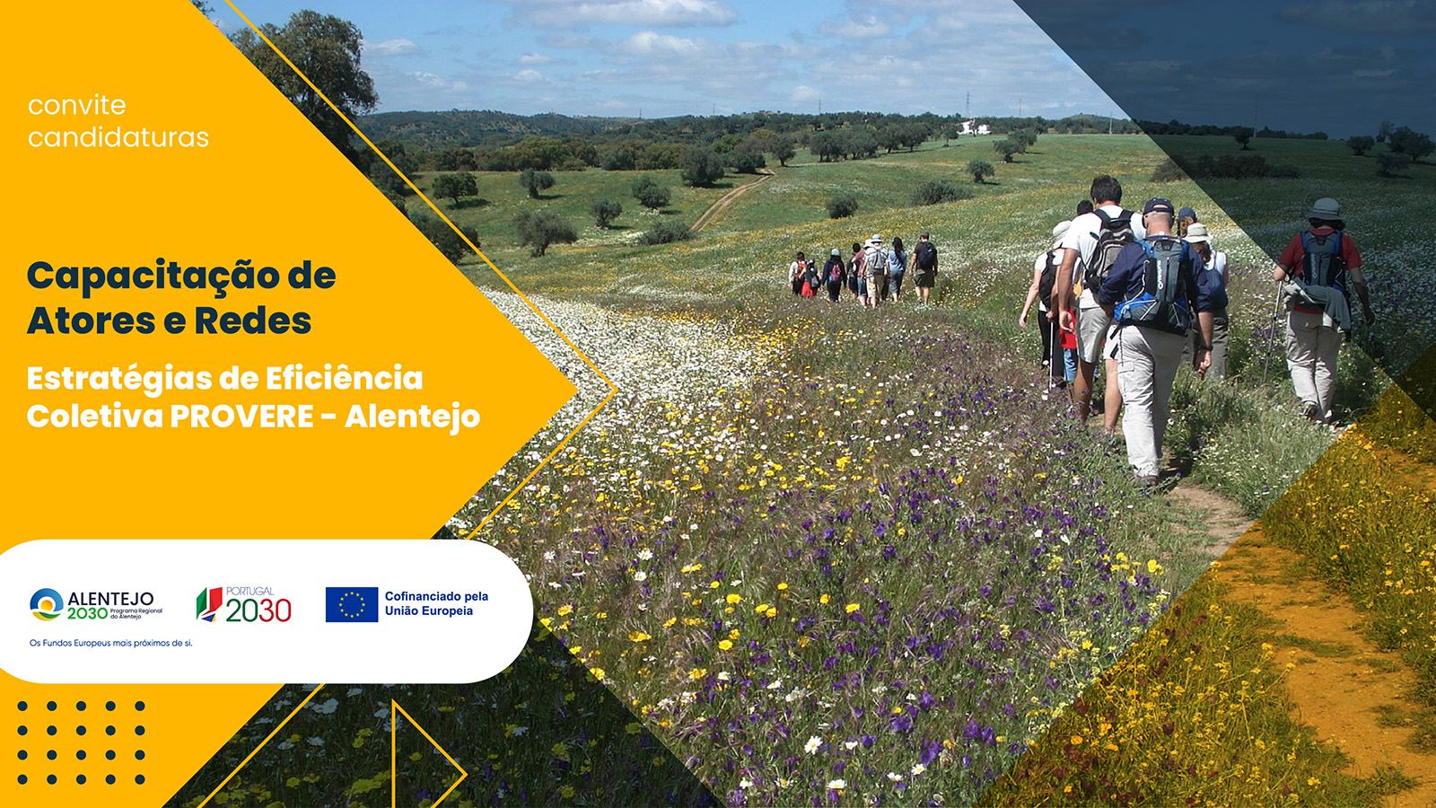 Capacitação e redes das Estratégias PROVERE