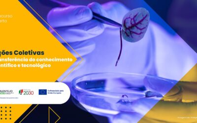 Alentejo 2030 abre concurso com 3 milhões de euros para reforçar a transferência de conhecimento científico e tecnológico na região