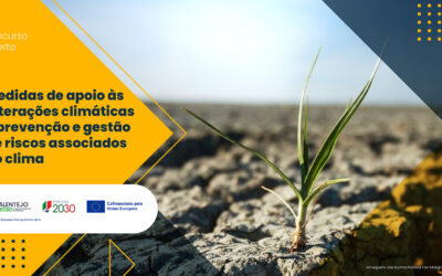Alentejo 2030 disponibiliza 680 mil euros para reforçar a adaptação às alterações climáticas