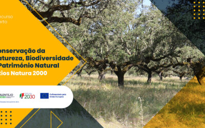 Alentejo 2030 disponibiliza 1,6 milhões de euros para a conservação da natureza e biodiversidade nos sítios NATURA 2000