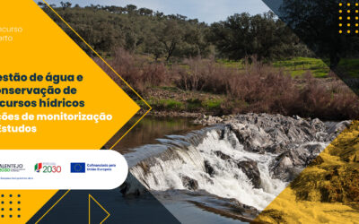 Alentejo 2030 lança aviso para apoio à gestão da água e conservação dos recursos hídricos